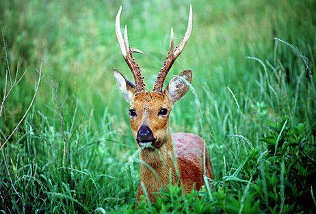 image_26.jpg